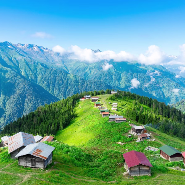 ayder