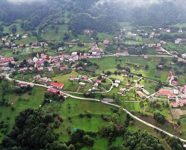hamsi koy
