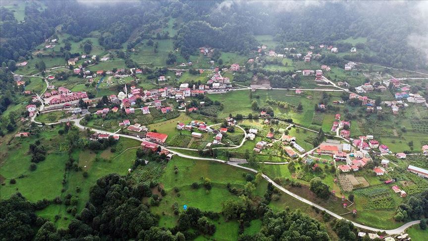 hamsi koy